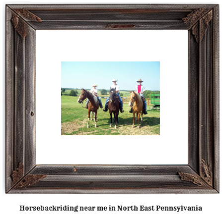 horseback riding near me in North East, Pennsylvania